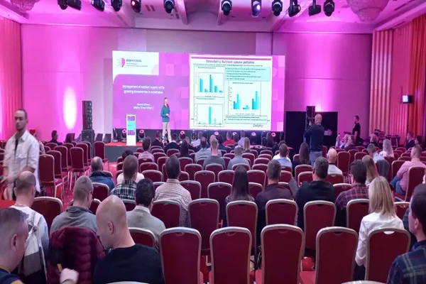 Tłumaczenia symultaniczne podczas konferencji międzynarodowej w Bydgoszczy